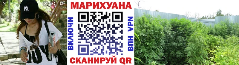 Каннабис гибрид Архангельск